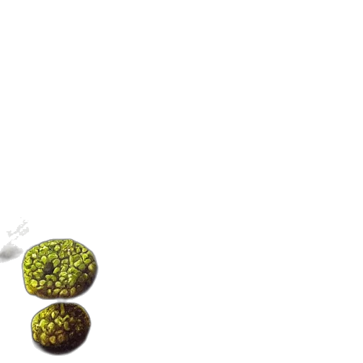 tree, food, hair, staff, 3d render, photorealistic, pixel art, concept art transparent PNG cut-out