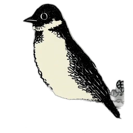 animal, staff, creature, hat transparent PNG cut-out