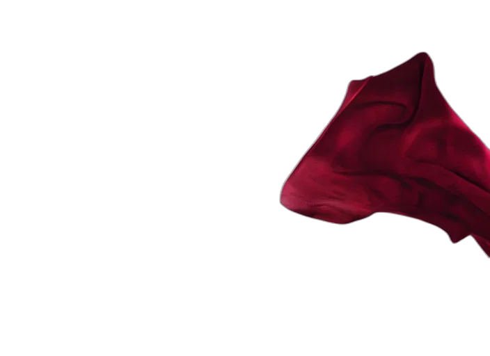 jacket, hat, crown, dress, 3d render, photorealistic, concept art, red transparent PNG cut-out