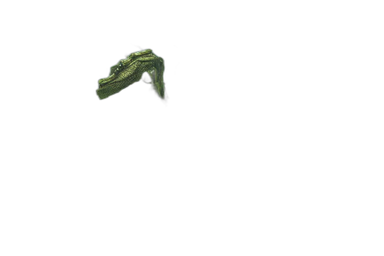 dragon, weapon, creature, shoes transparent PNG cut-out