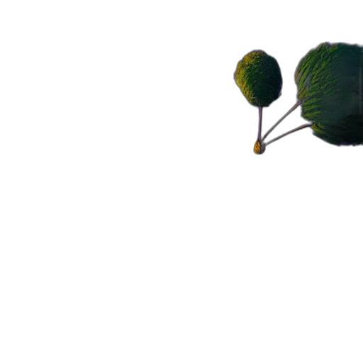 flower, umbrella, staff, tree transparent PNG cut-out