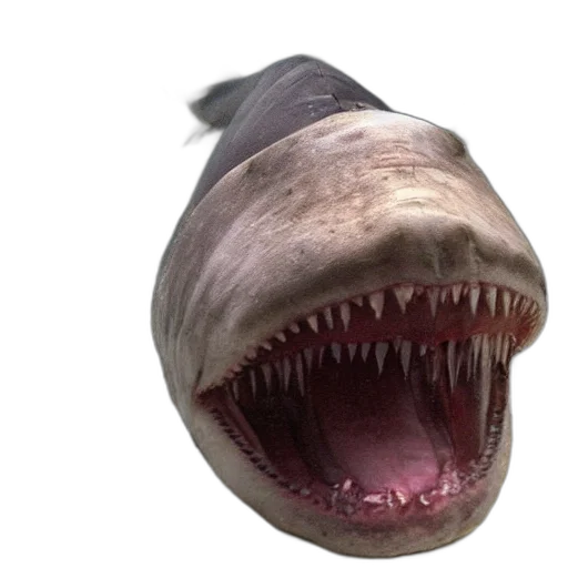 creature, animal, mask, face, 3d render, photorealistic, concept art, megalodon transparent PNG cut-out