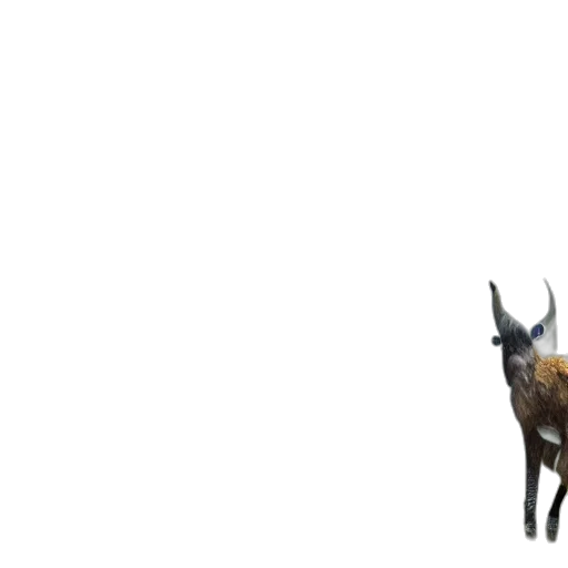 animal, creature, dragon, staff transparent PNG cut-out