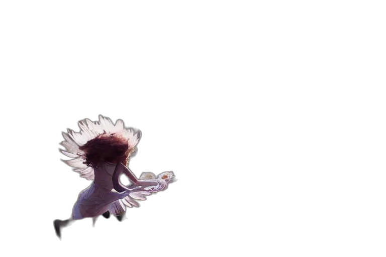 dragon, creature, animal, hair transparent PNG cut-out