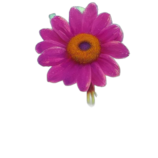 flower, jewelry, crown, staff, 3d render, photorealistic, oil painting, pencil sketch transparent PNG cut-out