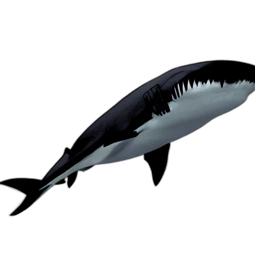 animal, creature, weapon, staff, 3d render, concept art, photorealistic, underwater transparent PNG cut-out