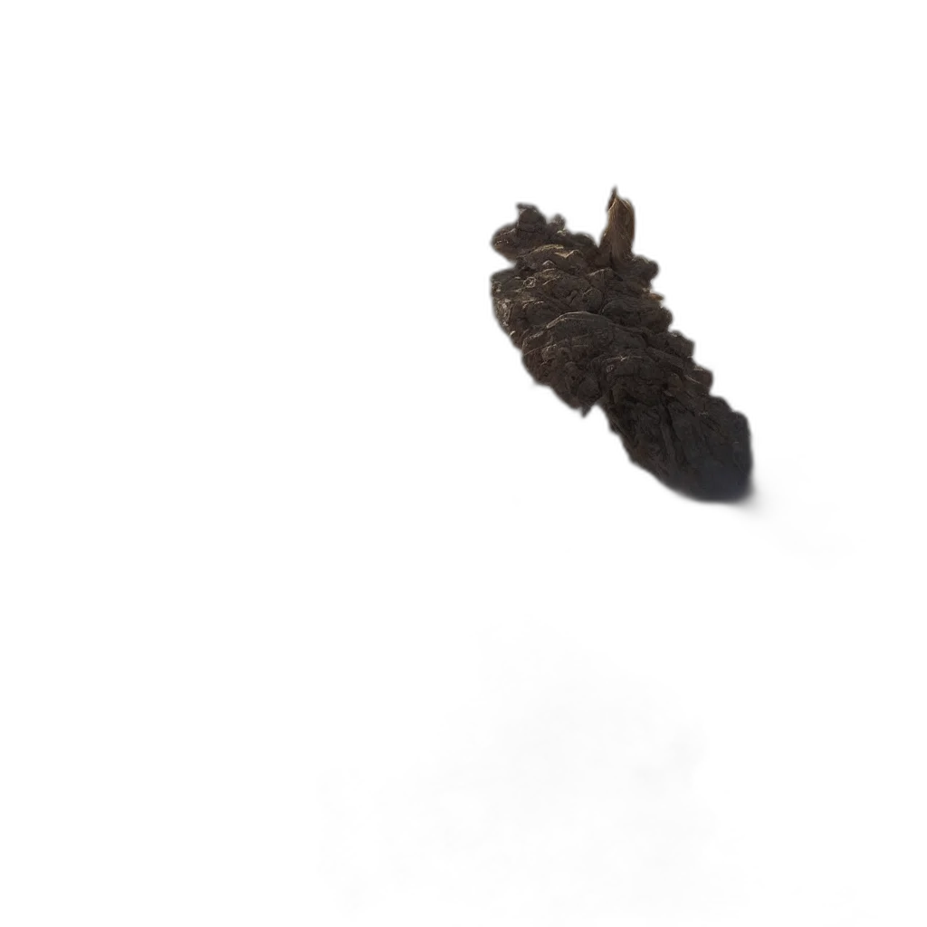 hair, crown, hat, food transparent PNG cut-out