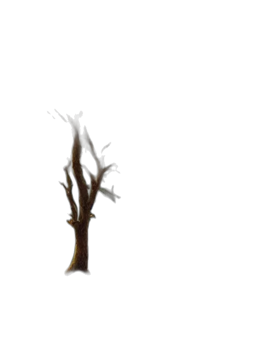 tree, creature, staff, hair transparent PNG cut-out