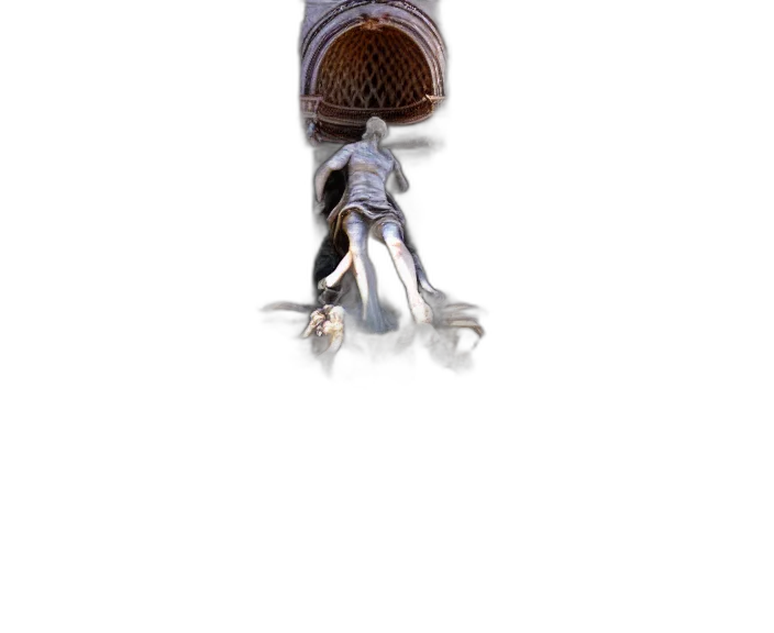 staff, bottle, jewelry, hair transparent PNG cut-out