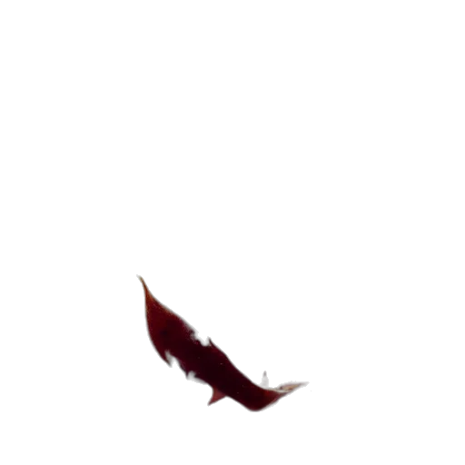animal, dragon, creature, weapon transparent PNG cut-out