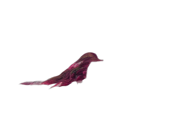 dragon, animal, hair, creature transparent PNG cut-out