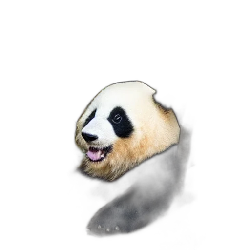 animal, creature, staff, food transparent PNG cut-out