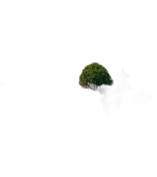 tree, hat, crown, umbrella, 3d render, photorealistic, concept art, pixel art transparent PNG cut-out