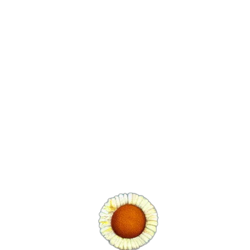 jewelry, food, staff, flower, 3d render, concept art, pixel art, photorealistic transparent PNG cut-out