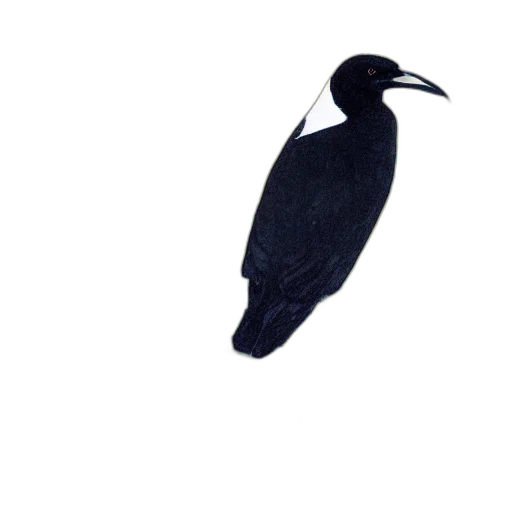 animal, staff, creature, mask transparent PNG cut-out