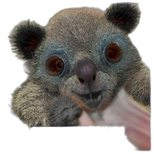 animal, creature, face, staff, photorealistic, 3d render, concept art, silly transparent PNG cut-out