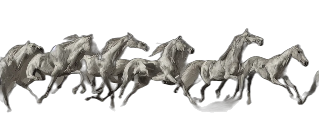 dragon, concept art, photorealistic, fantasy art transparent PNG cut-out