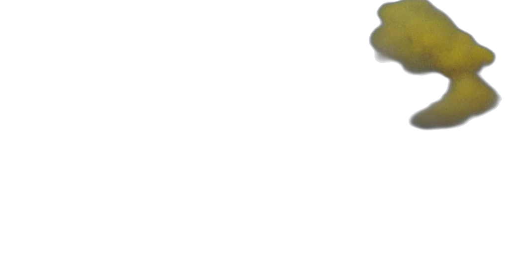 hat, staff, jewelry, weapon transparent PNG cut-out
