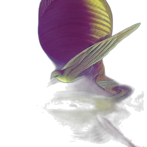 hair, hat, flower, creature transparent PNG cut-out