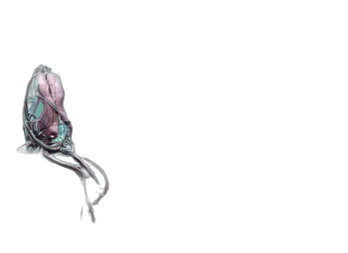 creature, hair, crown, mask transparent PNG cut-out