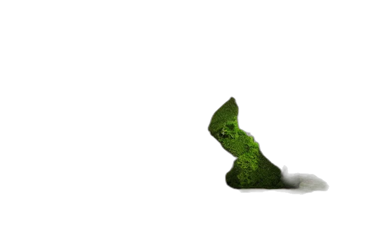 food, animal, shoes, bottle, 3d render, photorealistic, concept art, pixel art transparent PNG cut-out