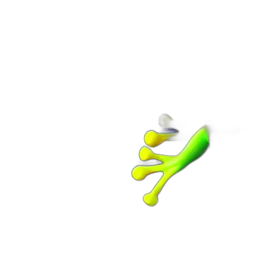 weapon, staff, shoes, flower transparent PNG cut-out