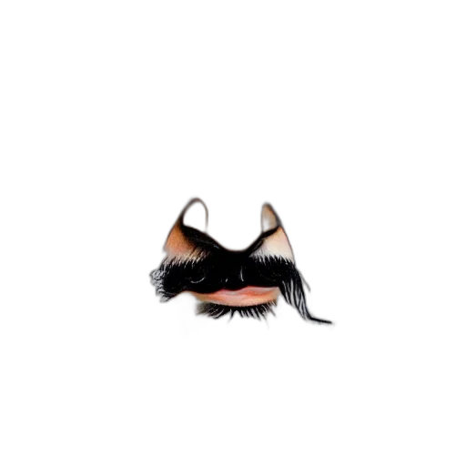 mask, hat, hair, face transparent PNG cut-out