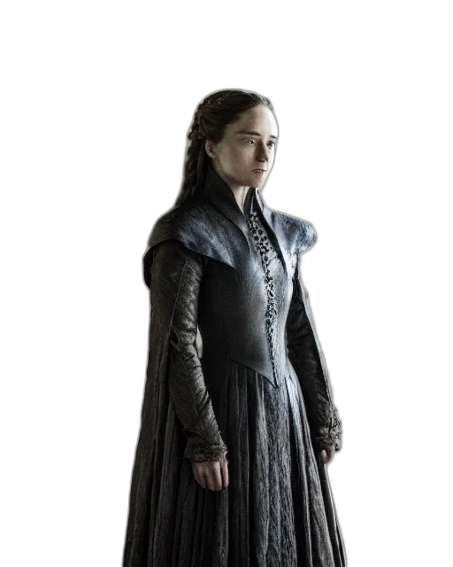 dress, jacket, staff, dragon transparent PNG cut-out
