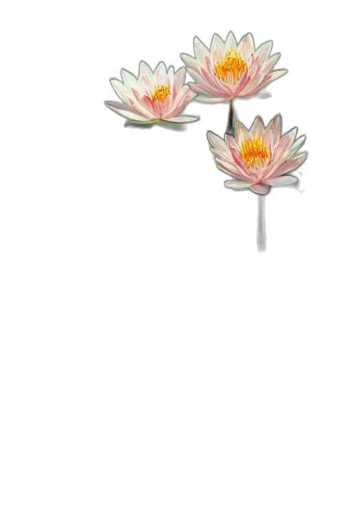 flower, staff, jewelry, crown transparent PNG cut-out