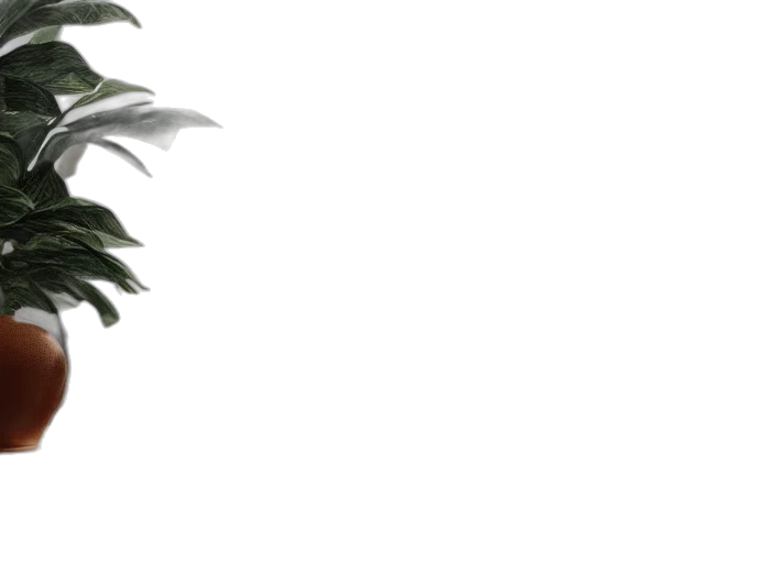 tree, weapon, flower, staff transparent PNG cut-out