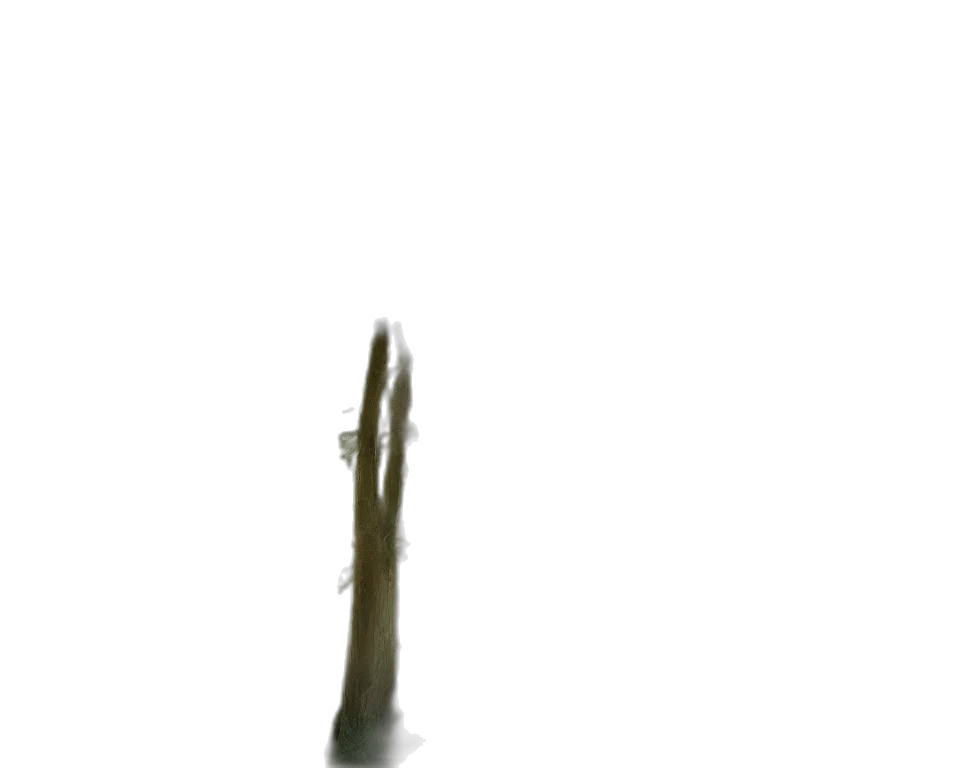 staff, weapon, sword, hair transparent PNG cut-out