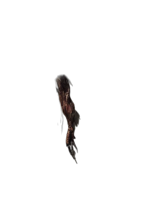 hair, staff, creature, weapon transparent PNG cut-out