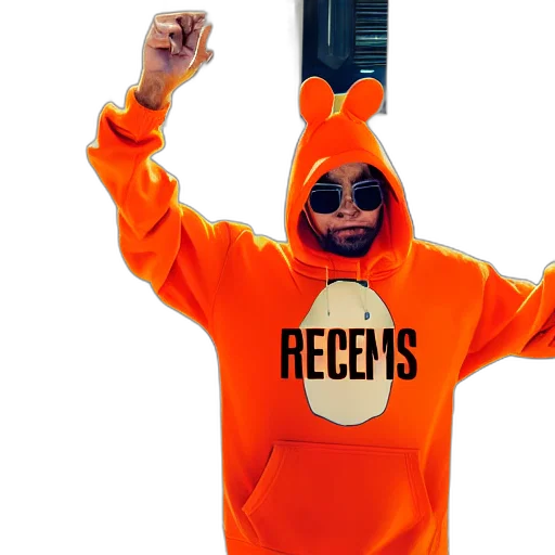 portrait, photo, kangaroo, wearing, orange, hoodie, blue, sunglasses transparent PNG cut-out