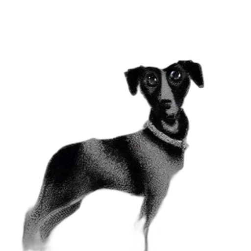 animal, creature, staff, face transparent PNG cut-out