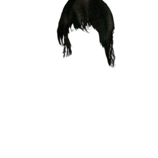 animal, hair, creature, mask transparent PNG cut-out