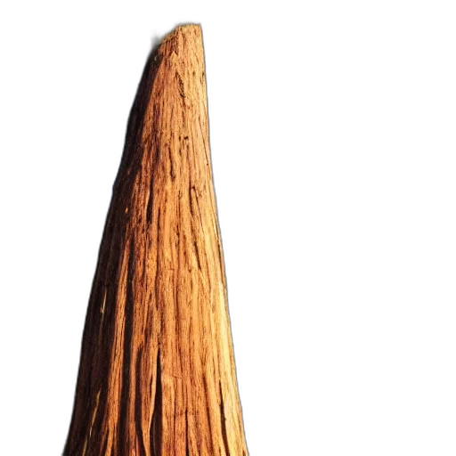 tree, hair, staff, hat, 3d render, photorealistic, concept art, forest transparent PNG cut-out