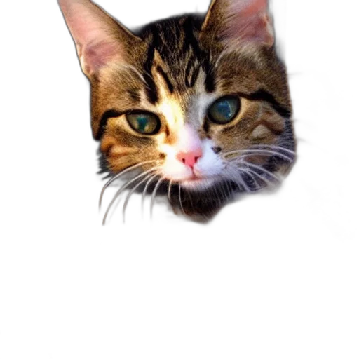 animal, face, staff, creature transparent PNG cut-out