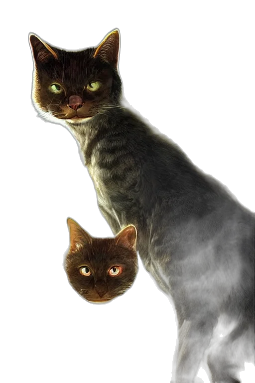 animal, creature, staff, face transparent PNG cut-out
