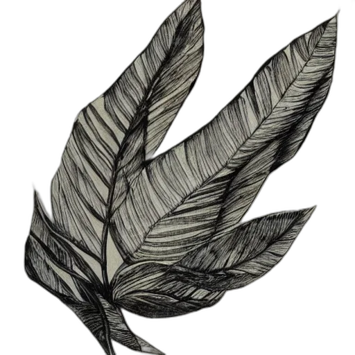crown, flower, hair, tree transparent PNG cut-out