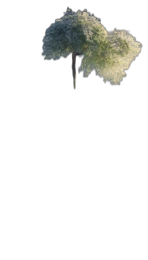 tree, sword, staff, dragon transparent PNG cut-out