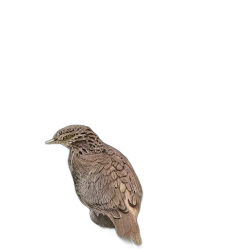 animal, creature, jacket, staff transparent PNG cut-out
