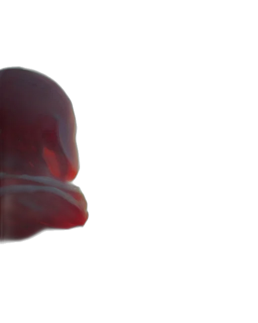 face, mask, creature, robot transparent PNG cut-out