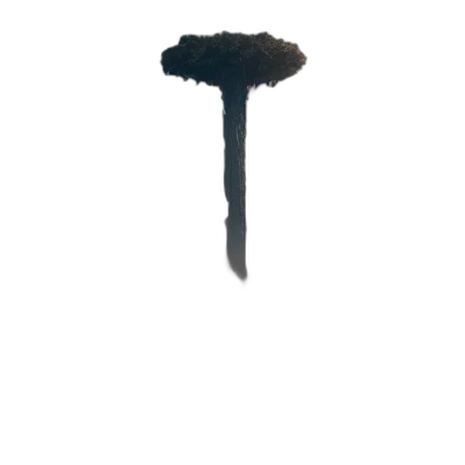 umbrella, staff, weapon, sword transparent PNG cut-out