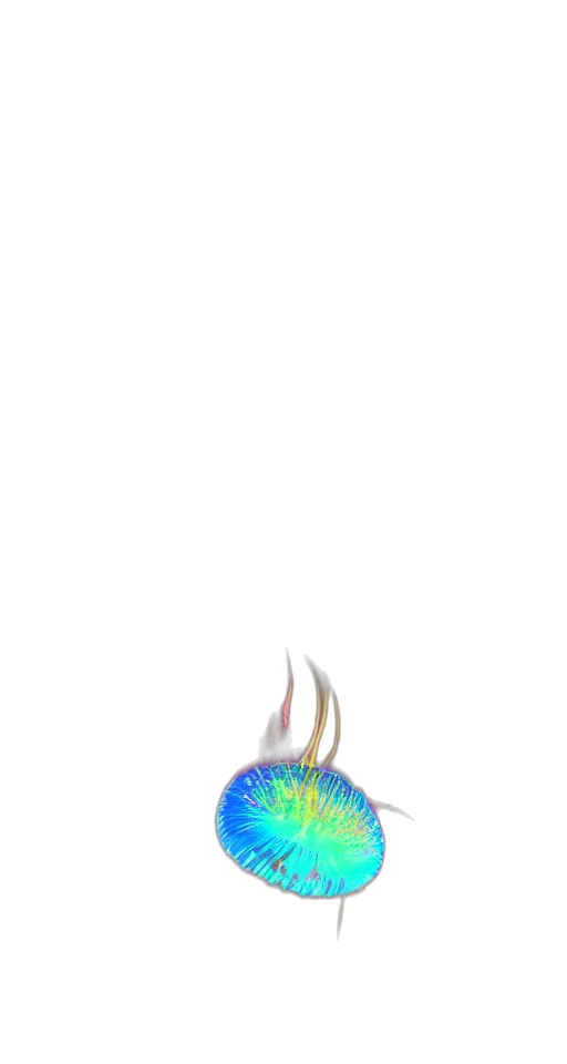 dragon, animal, creature, staff transparent PNG cut-out