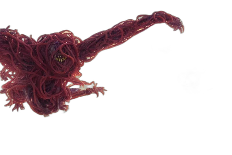 hair, staff, creature, dragon transparent PNG cut-out