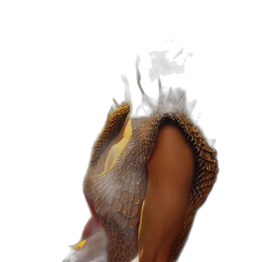 dragon, creature, animal, hair transparent PNG cut-out