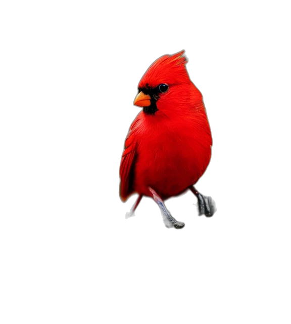 animal, creature, staff, hat, 3d render, pixel art, photorealistic, concept art transparent PNG cut-out