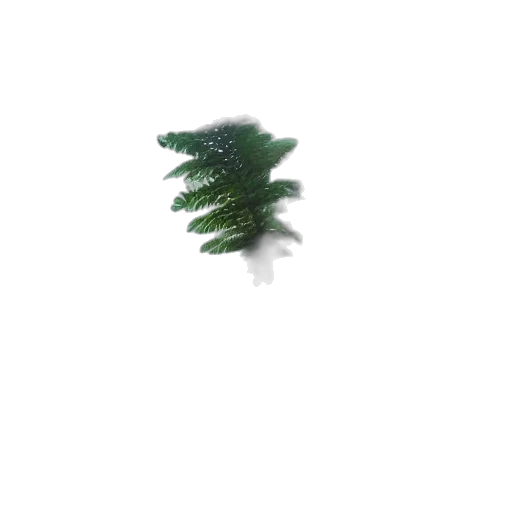 tree, hair, creature, dragon transparent PNG cut-out