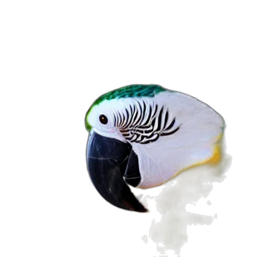 animal, hat, creature, jewelry, photorealistic, 3d render, concept art, pixel art transparent PNG cut-out