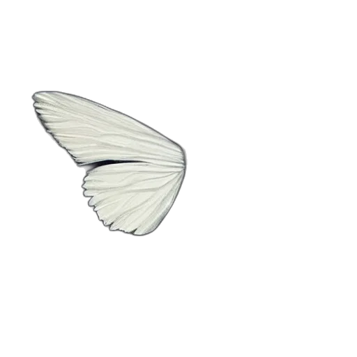 animal, creature, flower, jewelry transparent PNG cut-out